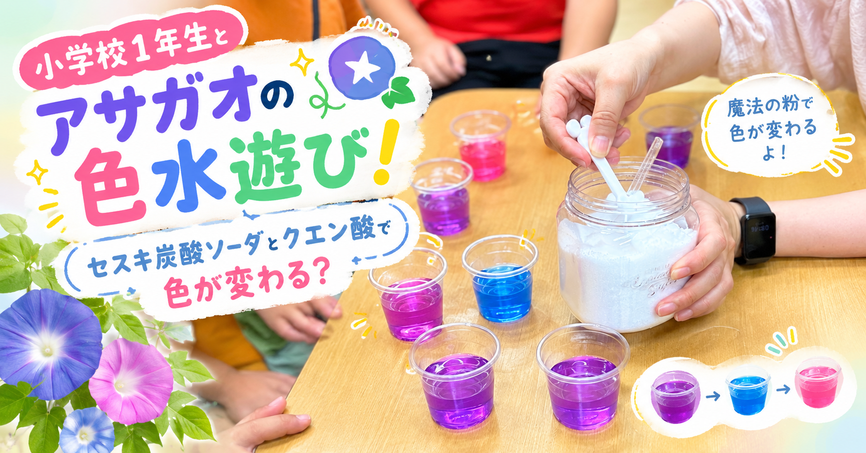 小学校1年生とアサガオの色水遊び！セスキ炭酸ソーダとクエン酸で色が変わる？