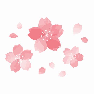 さくら・桜・サクラのアイテム大集合